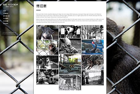 台灣動物平權促進會,動平會,TAEA,網頁設計,RWD,台北網頁設計公司,十大網頁設計公司,網站設計